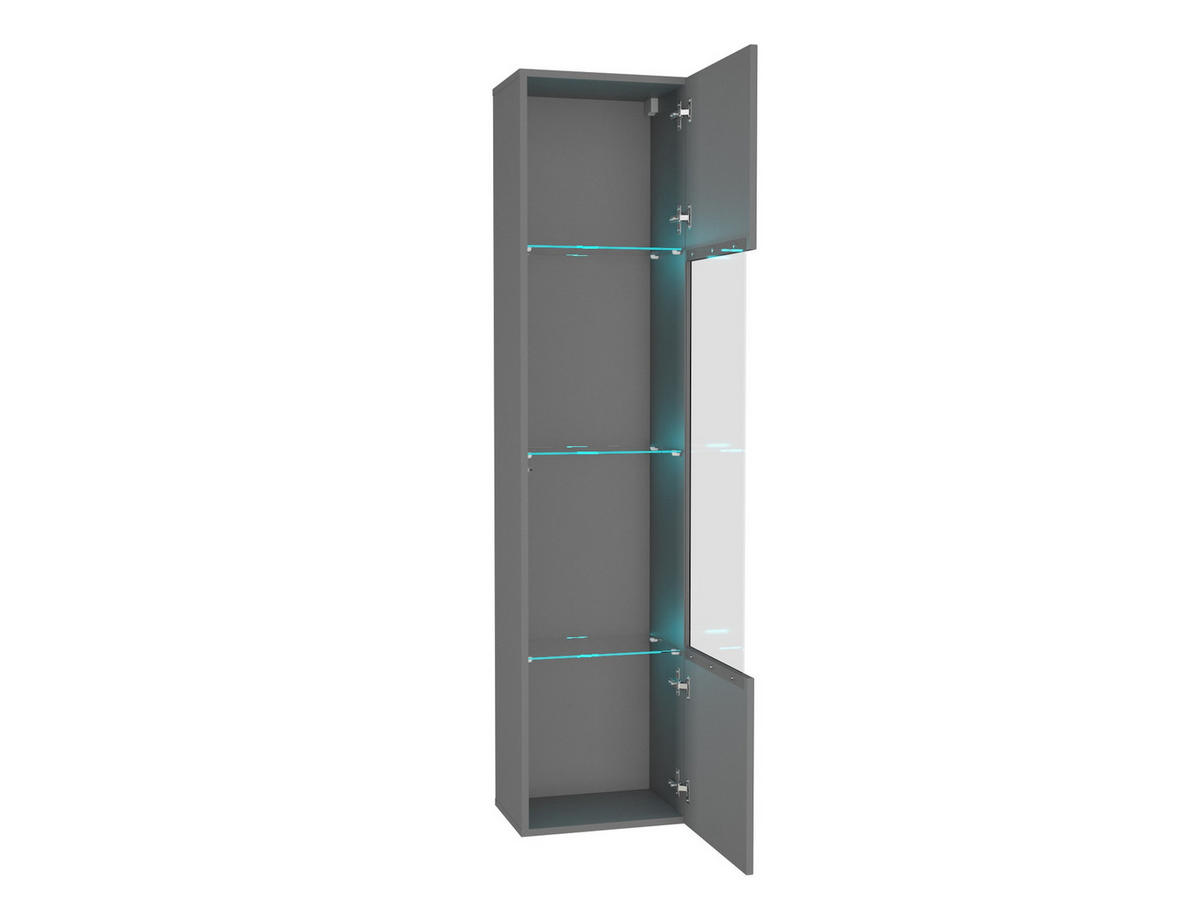 HÄNGESCHRANK Graphitgrau 40/170/29 - Grau, Holzwerkstoff (40/170/29cm) - RAUMHIRSCH FURNITURE