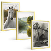 BILDER SET 3er Set - 40x60 cm Goldrahmen - Natur des Flusses White Horses - Goldfarben, Kunststoff (40/60cm) - TULUP