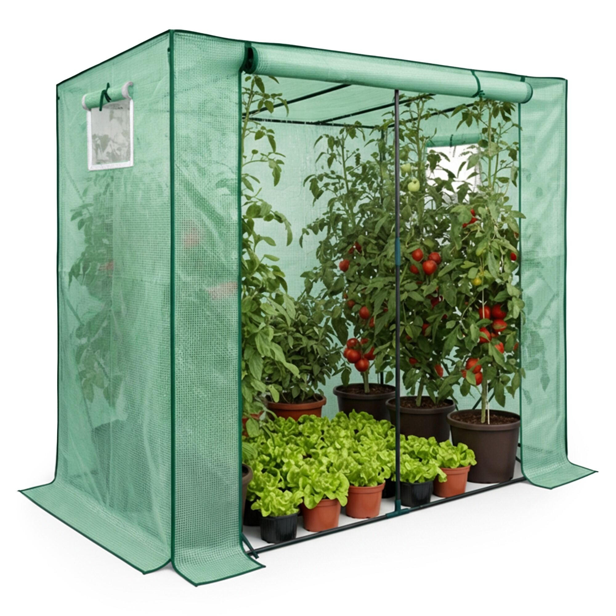 GEWÄCHSHAUS in Hausform, Grün, 202x80x170 cm - Grün, Metall (202/170/80cm) - Akord