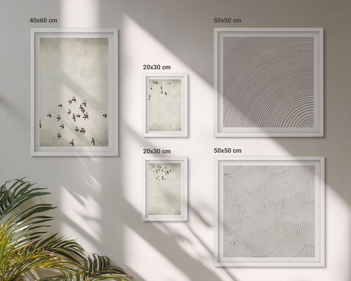 WANDBILDER 5er-Set - 50x50 cm & 20x30 cm & 40x60 cm Weißer Rahmen - Minimalistische Vogelmalerei - Weiß, Kunststoff (40/60cm) - ArtPrintCave