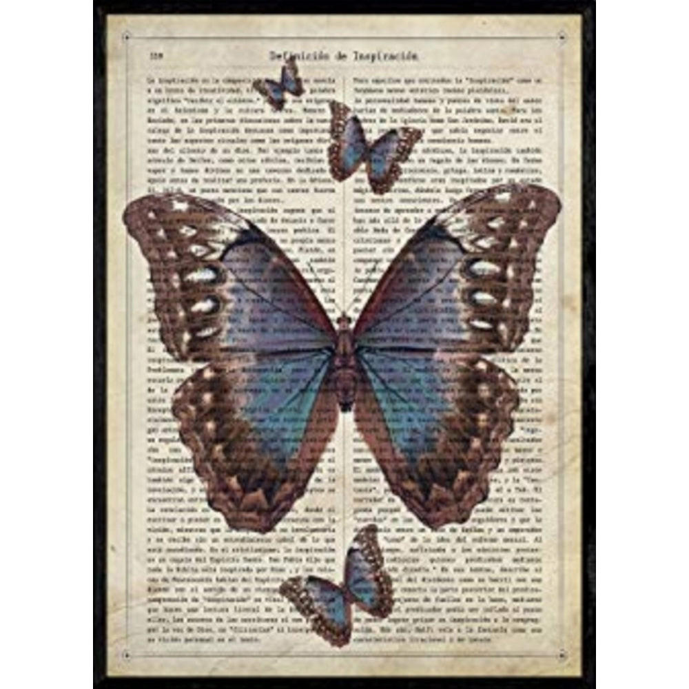 POSTER Schwarz Schmetterling. Schmetterlinge . A4 Rahmenlos - Klar, Papier (29.7/5/21cm) - Nacnic