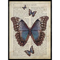 POSTER Schwarz Schmetterling. Schmetterlinge . A4 Rahmenlos - Klar, Papier (29.7/5/21cm) - Nacnic