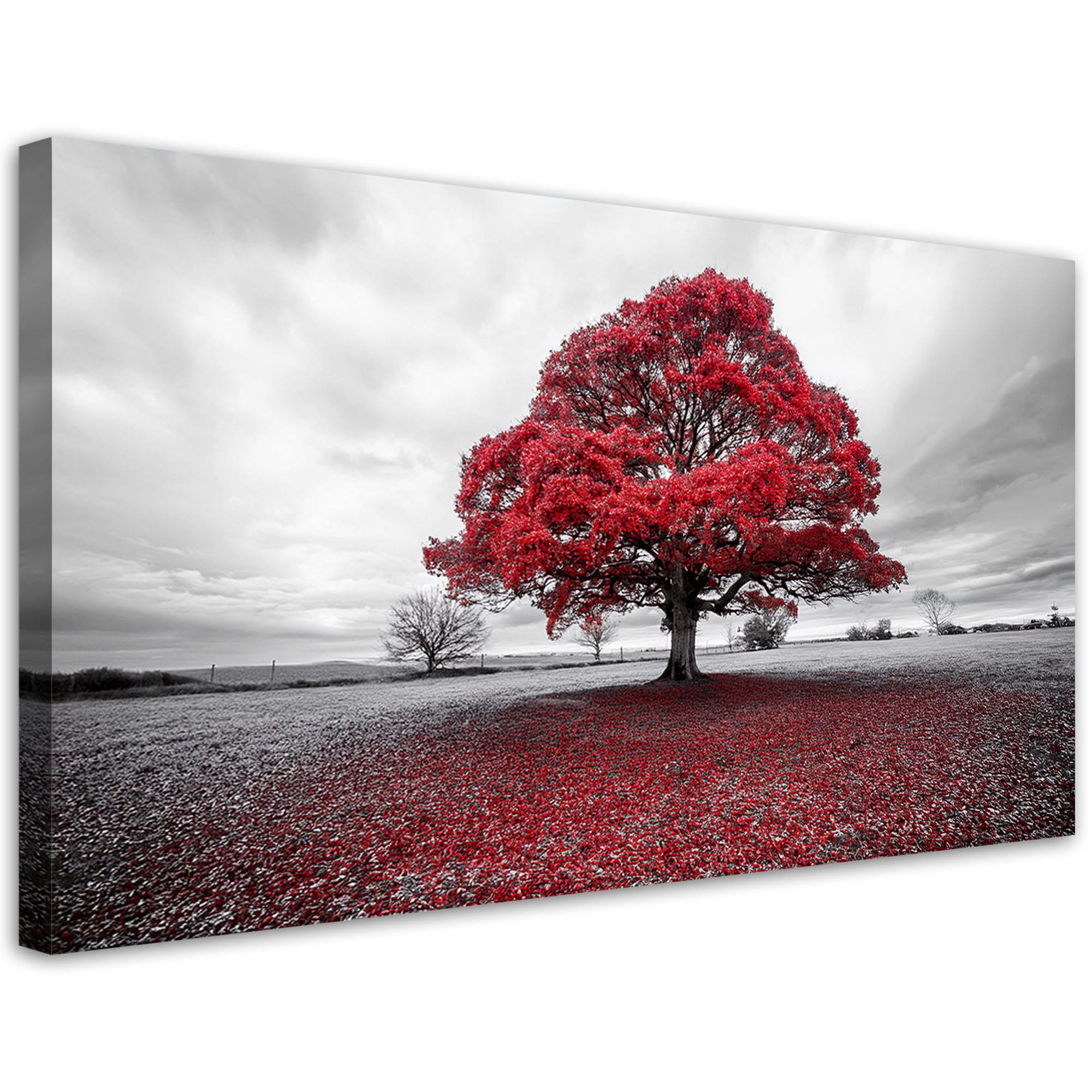 LEINWANDBILD Rote Baumlandschaft 120x60cm - Grau, Textil (120/60cm) - Feeby