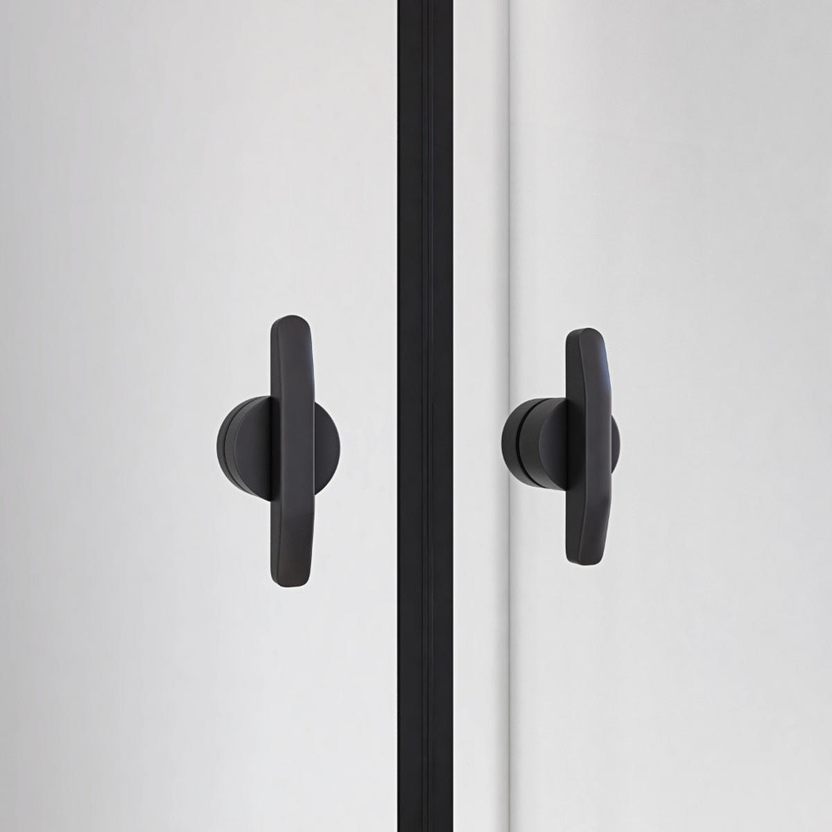 PENDELTÜR LAVEA - Schwarz, 85 x 195 cm - Schwarz, Glas/Metall (85/195cm) - Home Deluxe