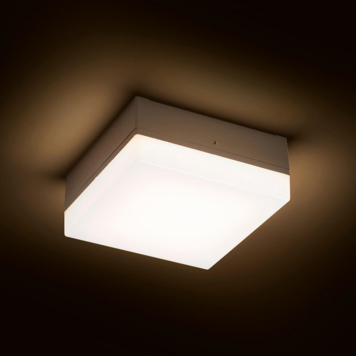 AUSSENLEUCHTE SPECTACLE Silbergrau 5 W IP54 - Grau, Metall (35/14/14cm) - Rendl