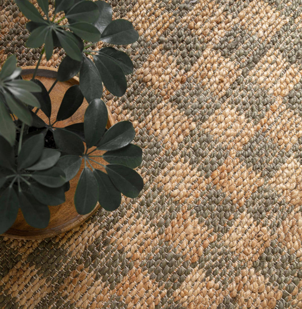 TEPPICH modern Naturfaser SCAPE Grün 160 x 230 cm - Grün, Naturmaterialien (160/230cm) - Novatrend