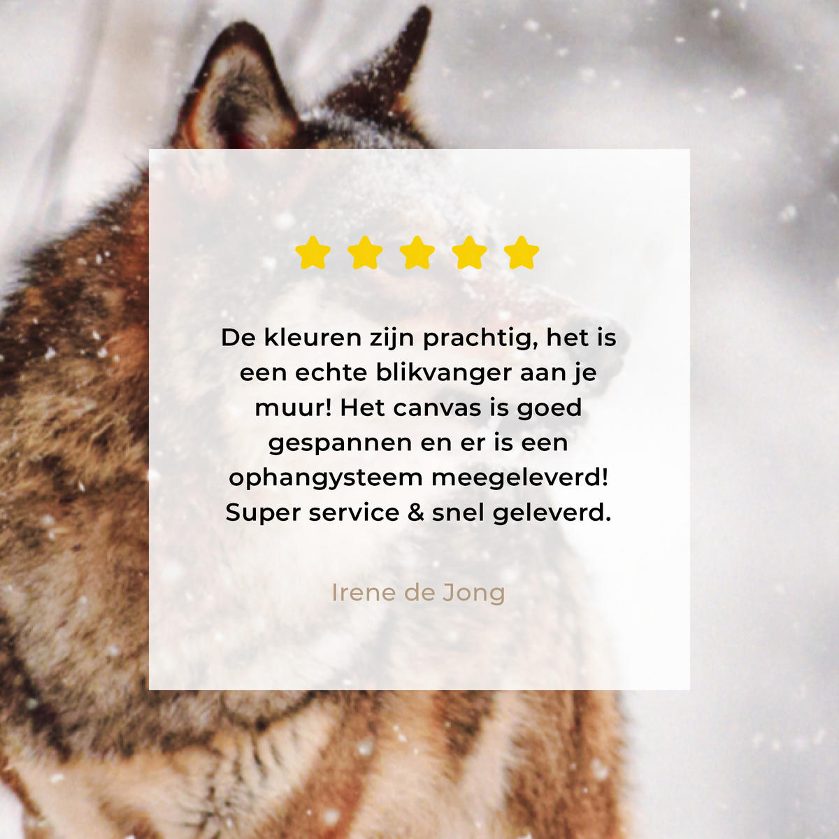 LEINWANDBILD Wolf - Winter - Schnee - Natur - Tiere 80x120 cm - Haselnussfarben, Textil (80/120cm) - MuchoWow