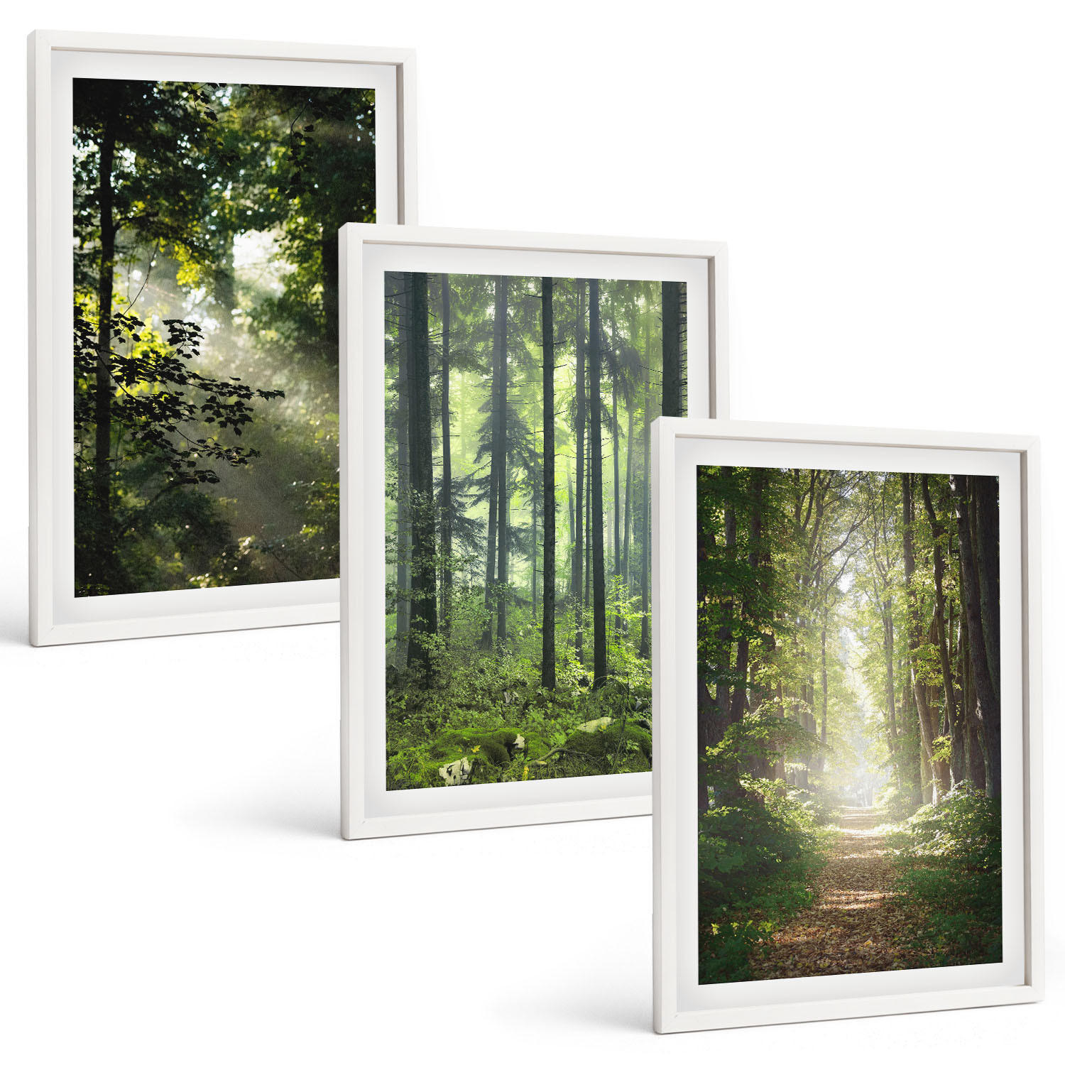 BILDER SET 3er Set - 40x60 cm Weißer Rahmen - Grüne Wälder mit Lichtstrahlen - Weiß, Kunststoff (40/60cm) - TULUP