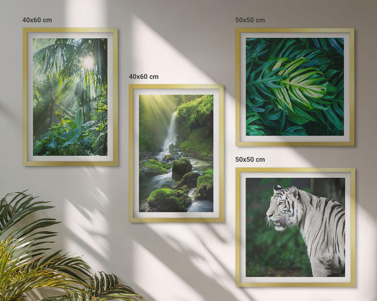 BILDER SET 4er Set - 50x50 cm & 40x60 cm Goldrahmen - Dschungel-Weißtiger-Wasserfall - Goldfarben, Kunststoff (50/50cm) - TULUP