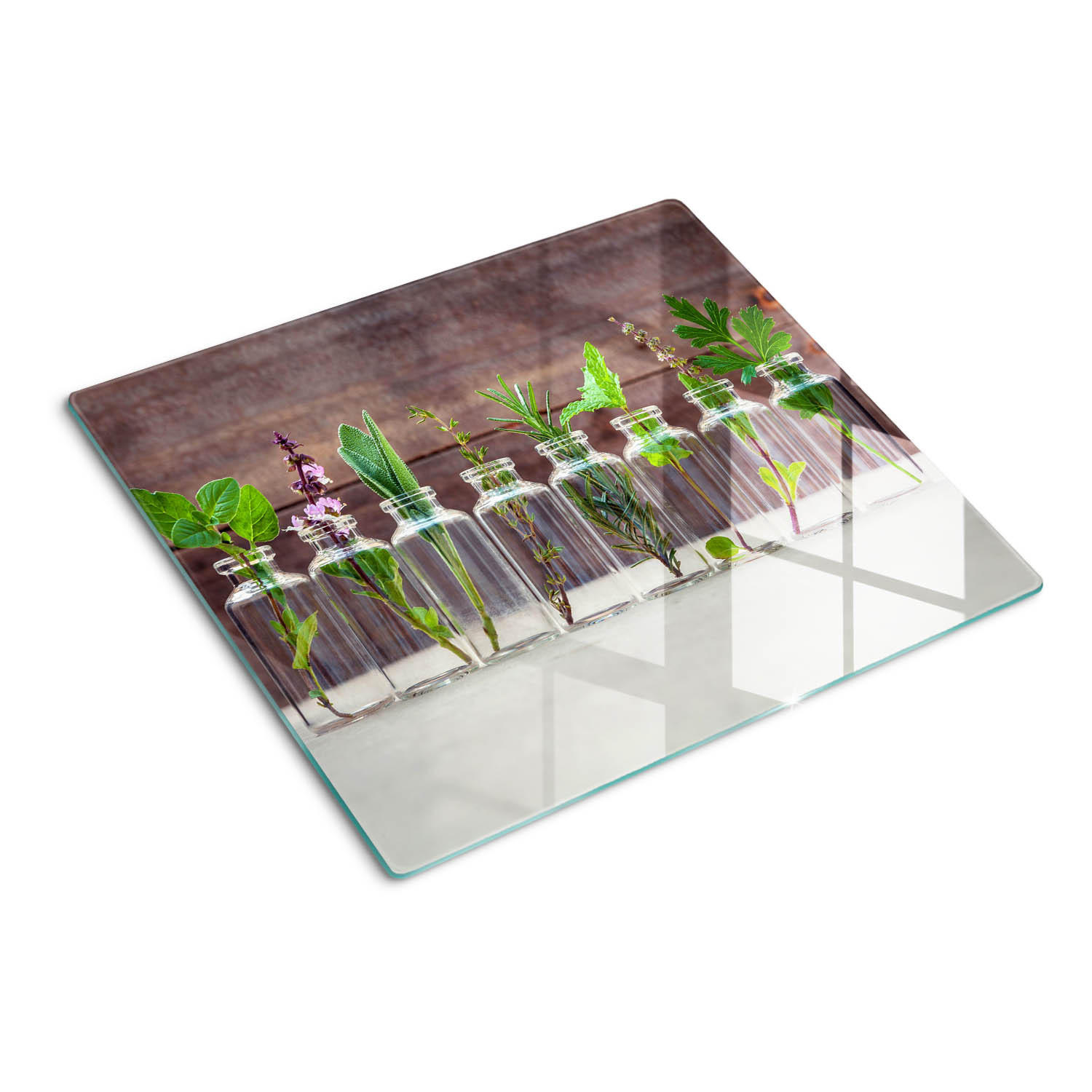 GLASPLATTE 60x52 cm Pflanzen im Glas - Grün, Glas (60/0.4/52cm) - TULUP
