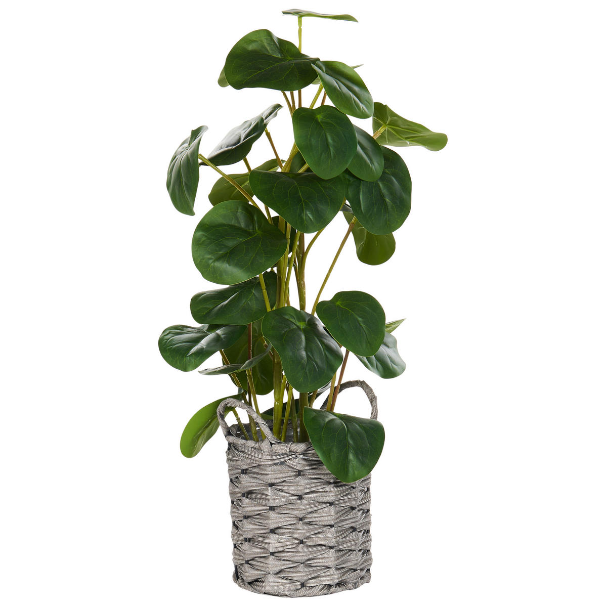 KUNSTPFLANZE im Blumentopf 55 cm Grün/Schwarz Kibeti - Schwarz/Grün, Kunststoff (55cm) - Beliani