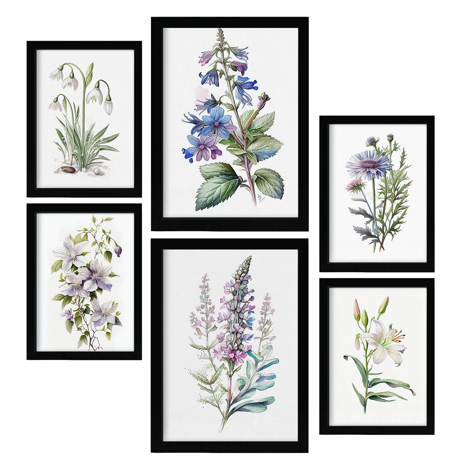 POSTER Set Mit 6 Lilien Vollfarbige Natur Und Botanikdrucke Mit Blumenmotiven Auf Reinweißen Hintergründen Innenarchitektur A3 & A4 Schwarzer Rahmen - Schwarz, Papier (29/3cm) - Nacnic