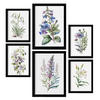 POSTER Set Mit 6 Lilien Vollfarbige Natur Und Botanikdrucke Mit Blumenmotiven Auf Reinweißen Hintergründen Innenarchitektur A3 & A4 Schwarzer Rahmen - Schwarz, Papier (29/3cm) - Nacnic
