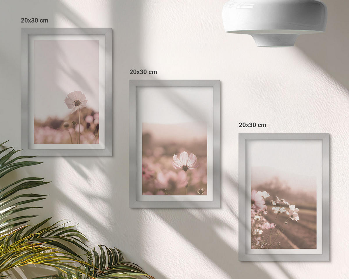 WANDBILDER 3er Set - 20x30 cm Silberner Rahmen - Sommerlandschaften mit Wildblumenwiesen - Silberfarben, Kunststoff (20/30cm) - ArtPrintCave