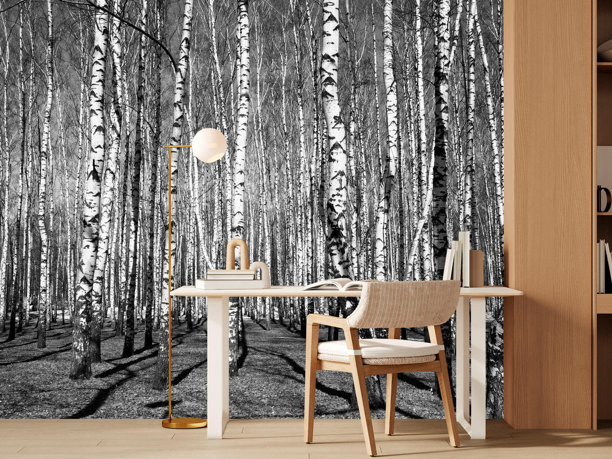 FOTOTAPETE für Wohnzimmer Birkenwald Schwarz-Weiß Minimalistisch 200x140 - Schwarz/Weiß, Papier (200/140cm) - Muralo