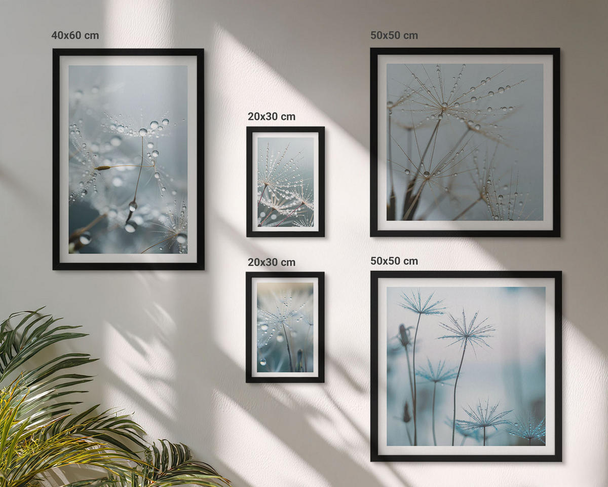 BILDER SET 5er Set - 50x50 cm & 20x30 cm & 40x60 cm Schwarzer Rahmen - Wassertropfen auf Löwenzahnsprossen - Schwarz, Kunststoff (40/60cm) - TULUP