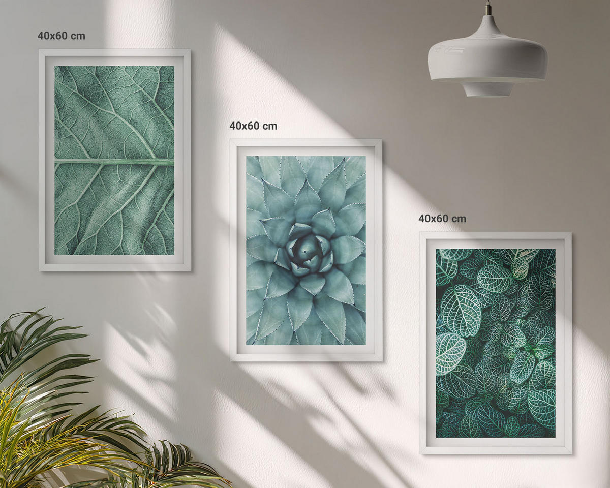 BILDER SET 3er Set - 40x60 cm Weißer Rahmen - Nahaufnahme von Pflanzenblättern - Weiß, Kunststoff (40/60cm) - TULUP