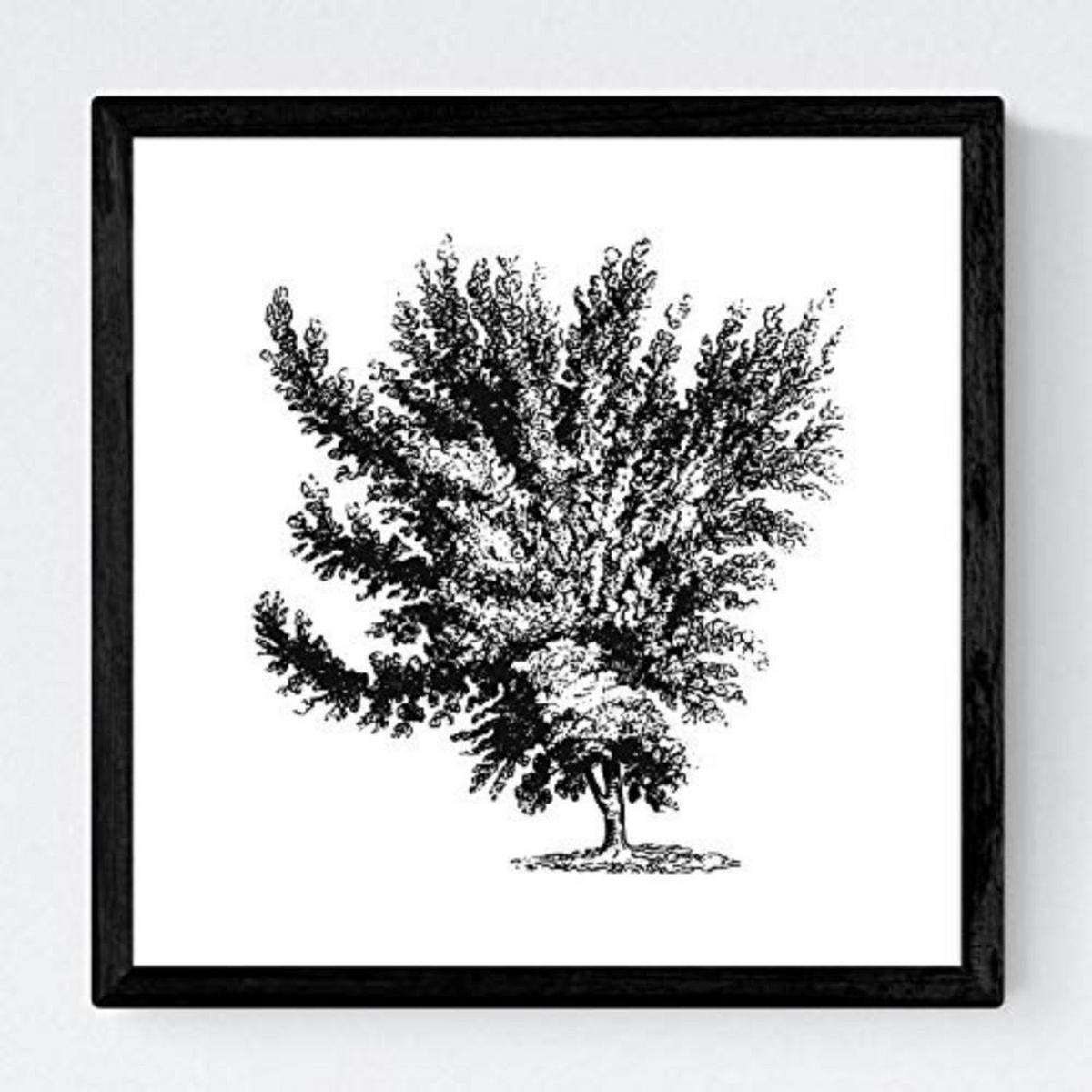 POSTER Set mit 4 Blättern der verschiedene Richtungen weiß Hintergrund 30x30 cm Rahmenlos - Klar, Papier (30/3cm) - Nacnic