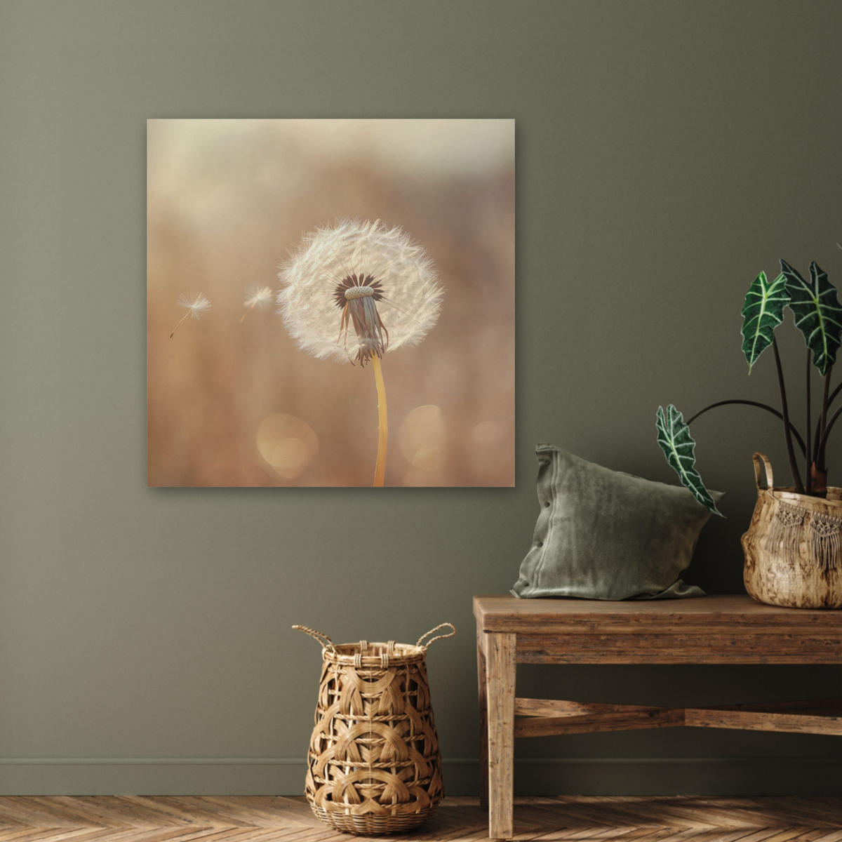 AKUSTIKBILD Löwenzahn - Beige - Natur - Blume Akustikpaneele 80x80 cm - Hellbraun, Kunststoff (80/80/0.9cm) - MuchoWow