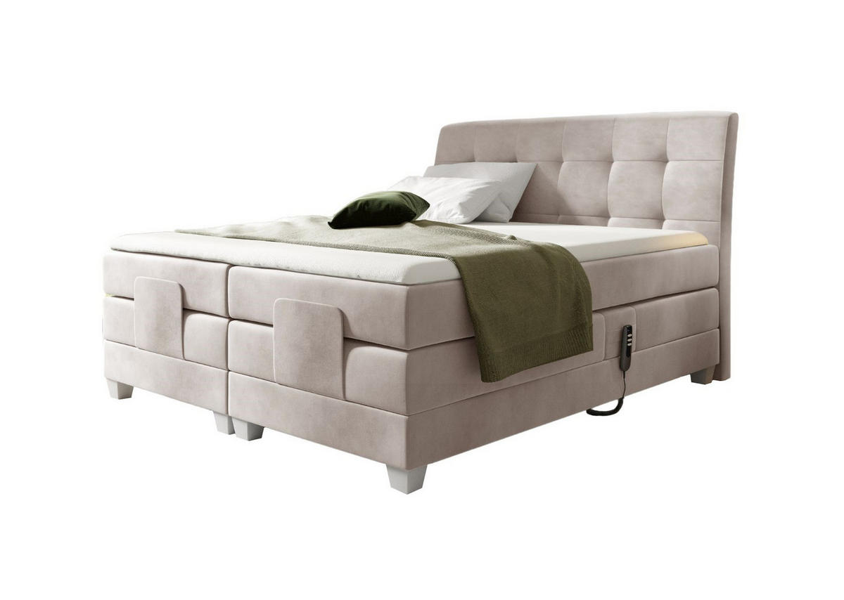 BOXSPRINGBETT DANTE - Beige, Holzwerkstoff (120/200cm) - Meblini