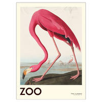 POSTER A.P. Atelier - The Zoo Collection — Pink Flamingo — Edt. 001 - Pink, Papier (30/40/0.1cm) - Poster&Frame