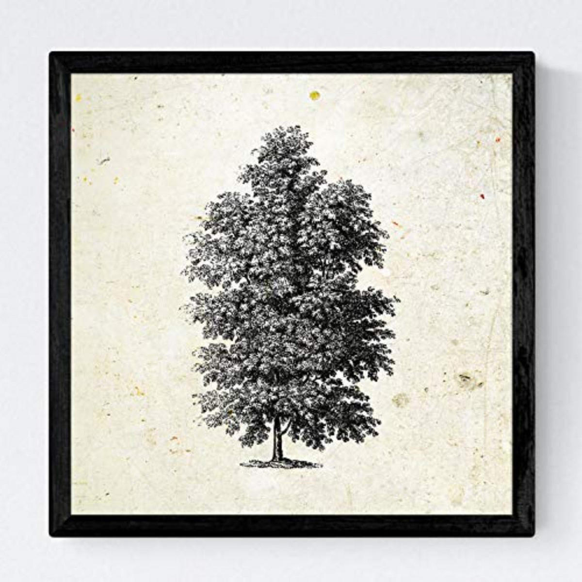 POSTER Set mit 4 Blättern der Jahrgang Hintergrund Altpapier 30x30 cm Rahmenlos - Klar, Papier (30/3cm) - Nacnic