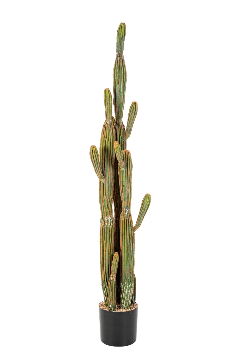 KUNSTBAUM Künstlicher Kaktus - Heinz 150 cm, Real Touch - Grün, Kunststoff (150cm) - aplanta