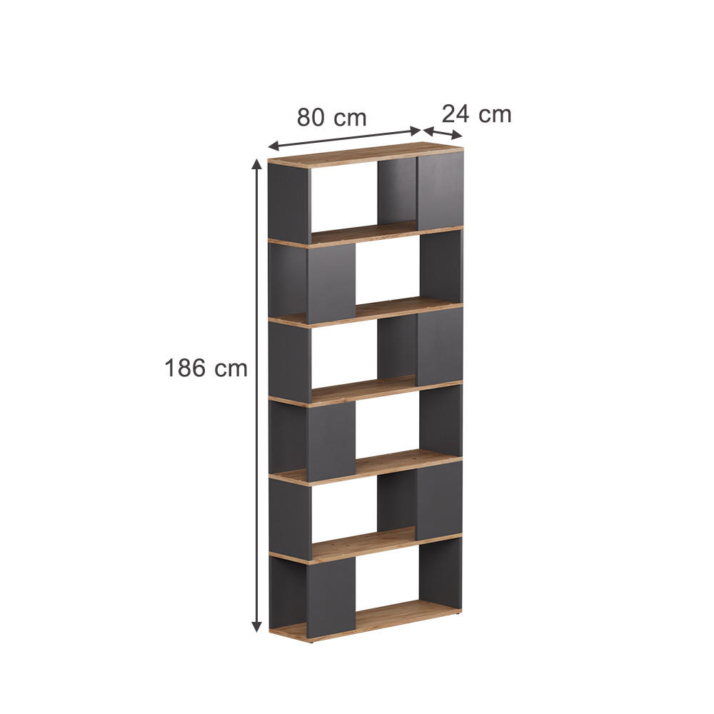 RAUMTEILER Eneos Anthrazit/Goldkraft Eiche 80 x 186 cm - Anthrazit/Eiche Wotan, Holzwerkstoff (80/186/24cm) - Vicco