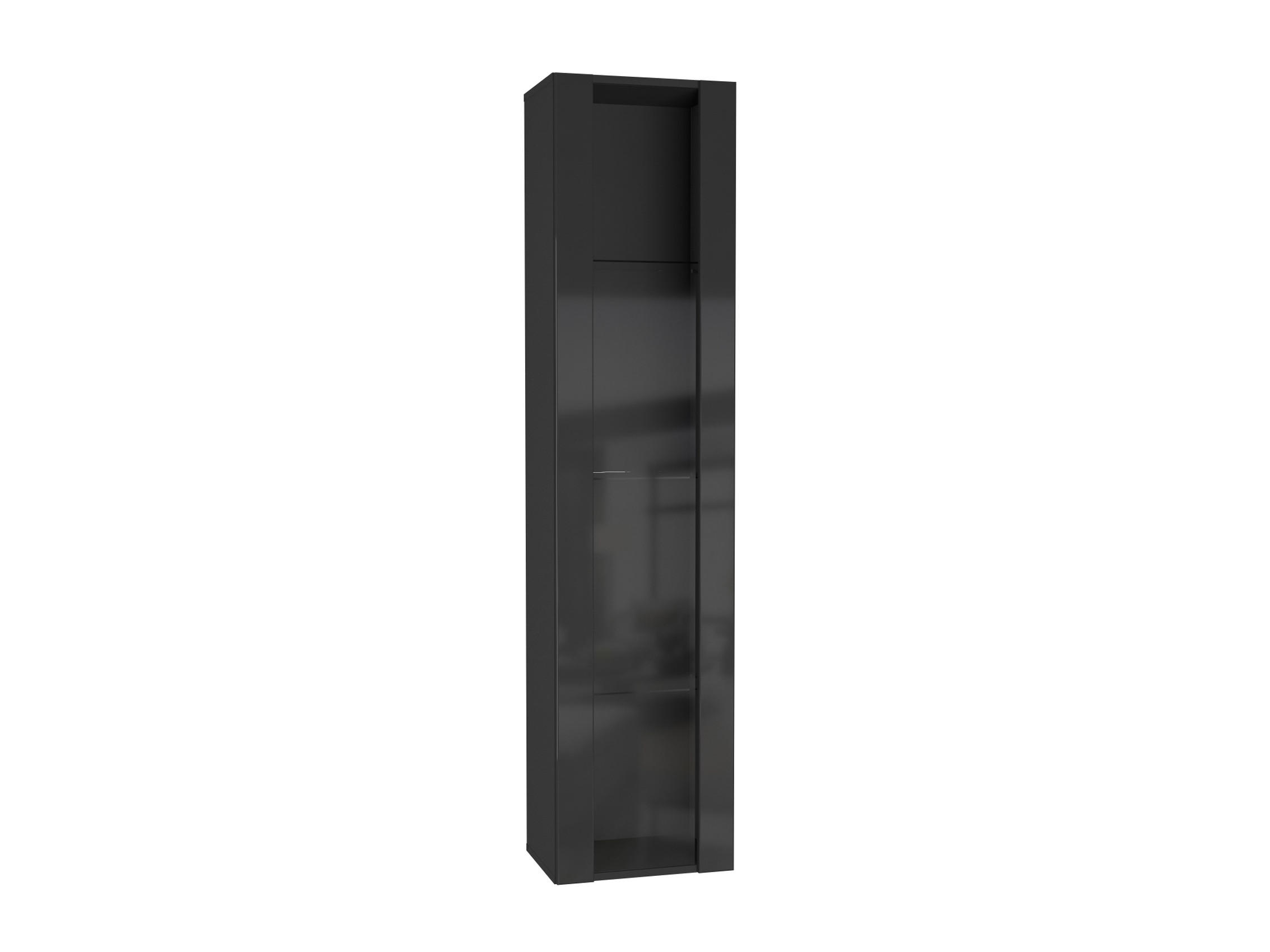 HÄNGESCHRANK Schwarz, Schwarz Hochglanz 40/170/29 - Schwarz Hochglanz/Schwarz, Holzwerkstoff (40/170/29cm) - RAUMHIRSCH FURNITURE