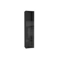 HÄNGESCHRANK Schwarz, Schwarz Hochglanz 40/170/29 - Schwarz Hochglanz/Schwarz, Holzwerkstoff (40/170/29cm) - RAUMHIRSCH FURNITURE