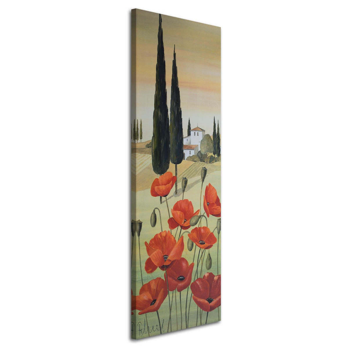 WANDBILD mohnblumen und haus im hintergrund - Grün, Textil (30/90cm) - Feeby