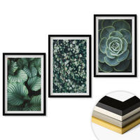 WANDBILDER 3er-Set - 40x60 cm Schwarzer Rahmen - Sukkulenten im Stil grüner Blätter - Schwarz, Kunststoff (40/60cm) - ArtPrintCave