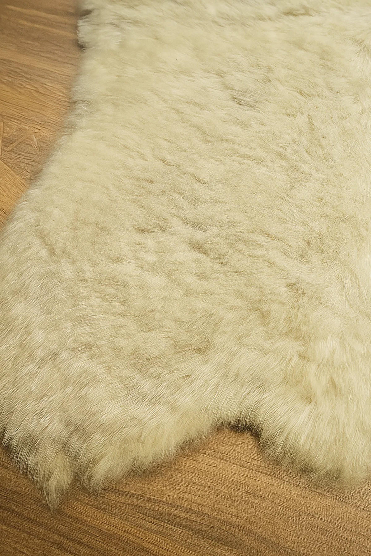 SCHAFFELL Kurzhaar Creme Natur ca. 70 cm - Beige/Creme, Fell (40/70cm) - Provellus