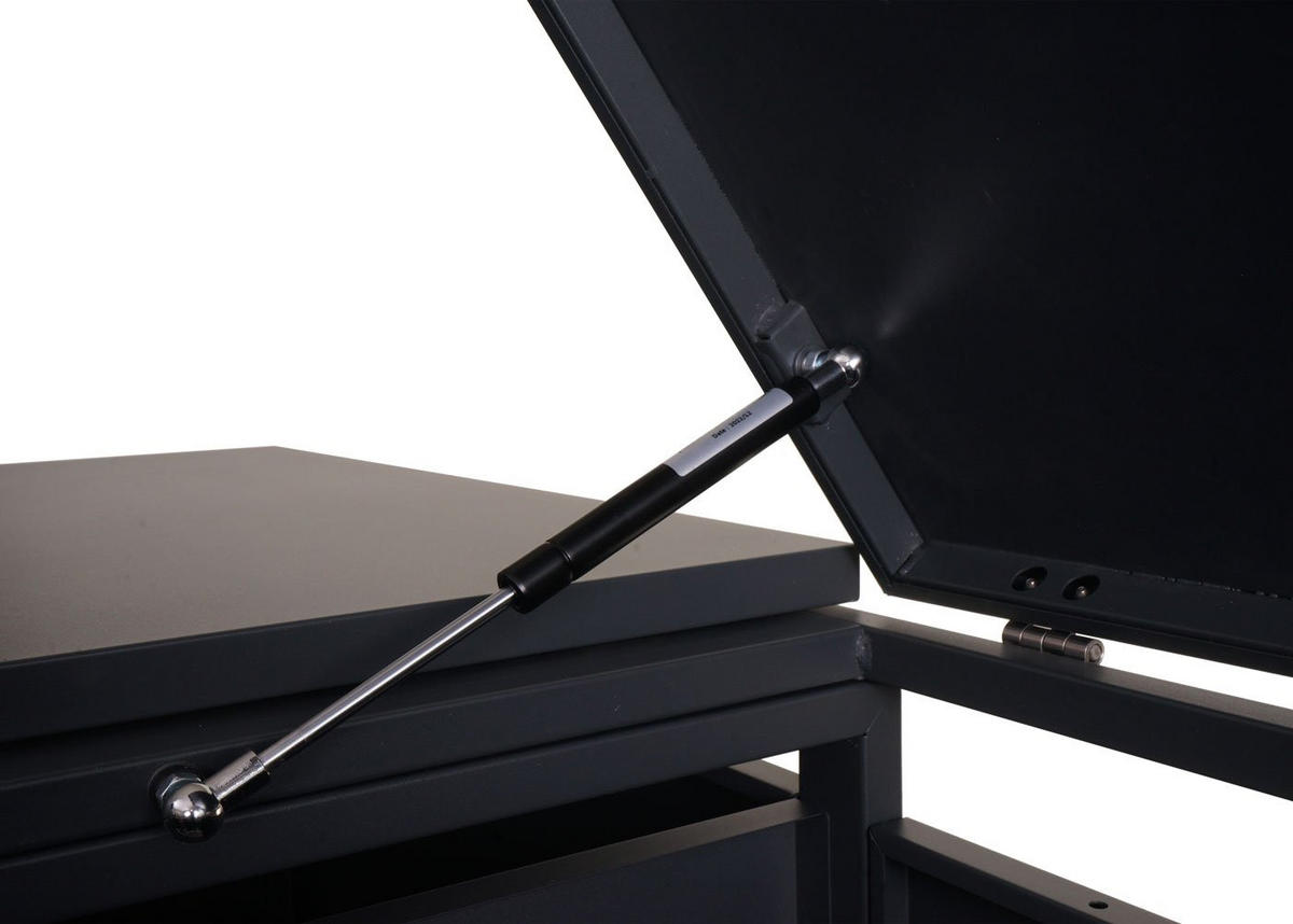 MÜLLTONNENBOX mit Brennholzregal 117x132x82cm erweiterbar 152kg Anthrazit - Anthrazit, Metall (132/117/82cm) - PROREGAL