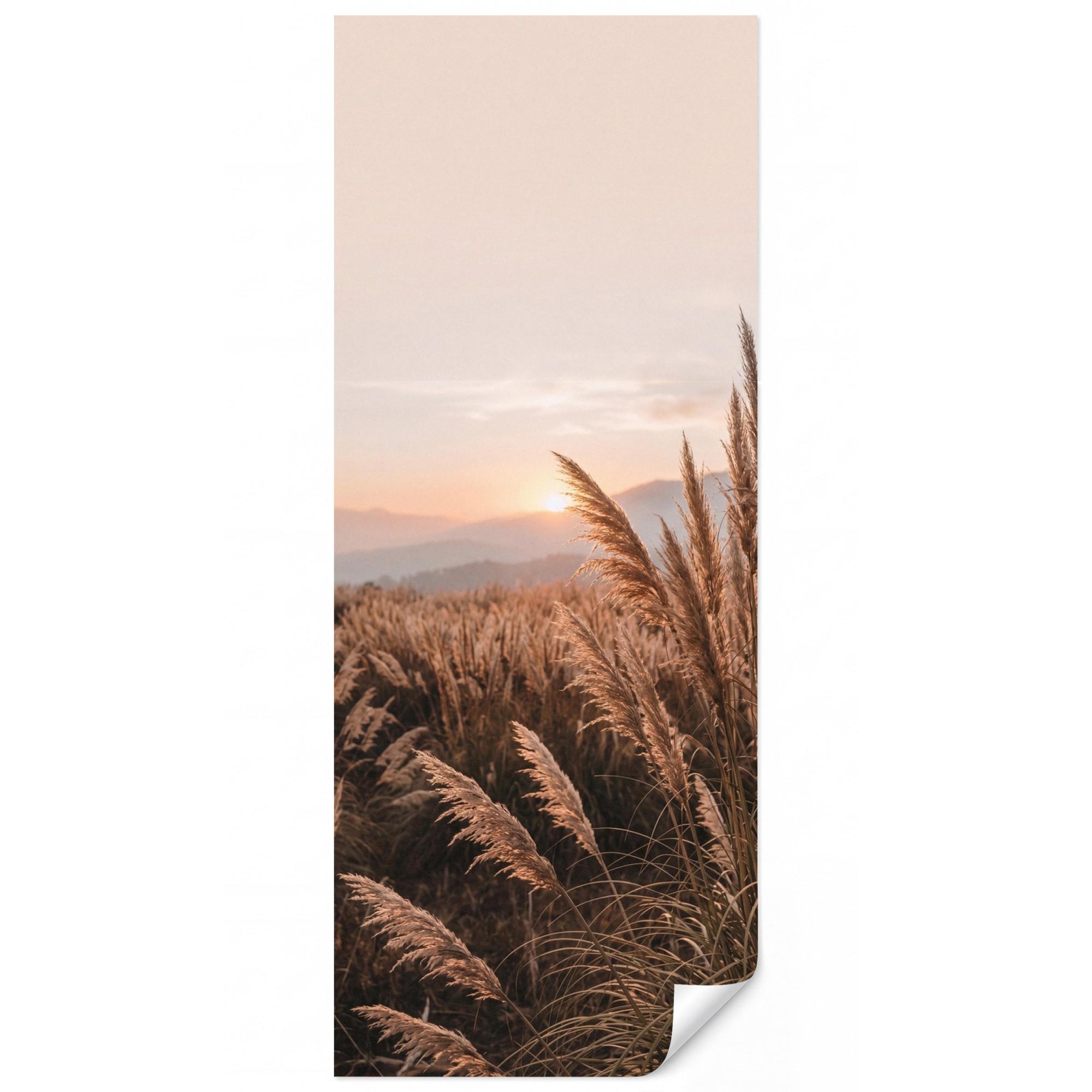 OnlyWow Tapete Sand 120x280 cm