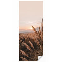 TAPETE - Gras - Feld - Sonne - Natur - 100x240 cm - Sandfarben, Papier (100/240cm) - OnlyWow