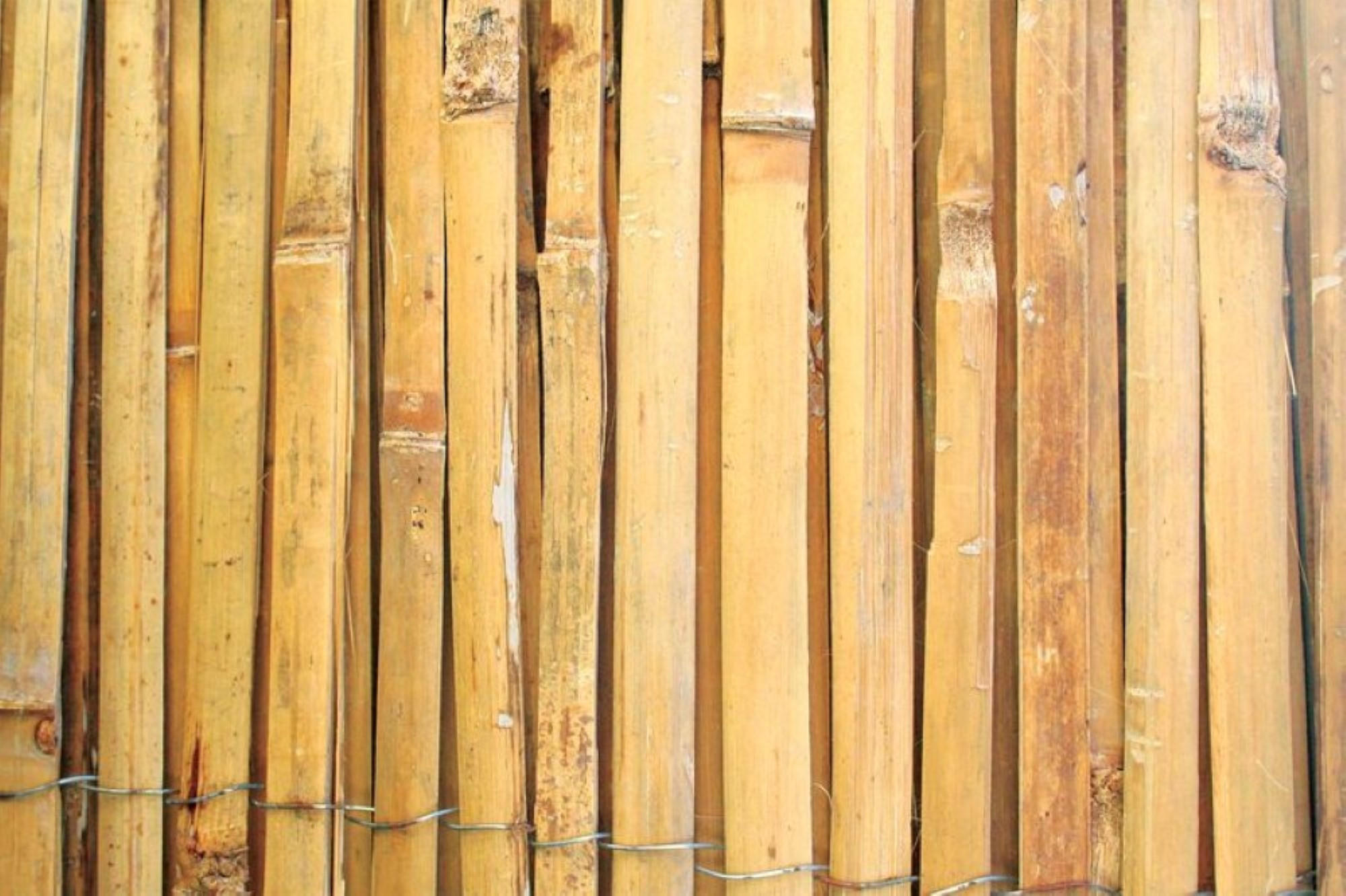SICHTSCHUTZZAUN aus gespaltenem Bambus Höhe 1m Länge 5m HxL: 1x5 m - Gelb, Kunststoff (500/100cm) - PROREGAL