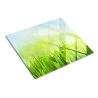 GLASPLATTE 60x52 cm Gras - Grün, Glas (60/0.4/52cm) - TULUP