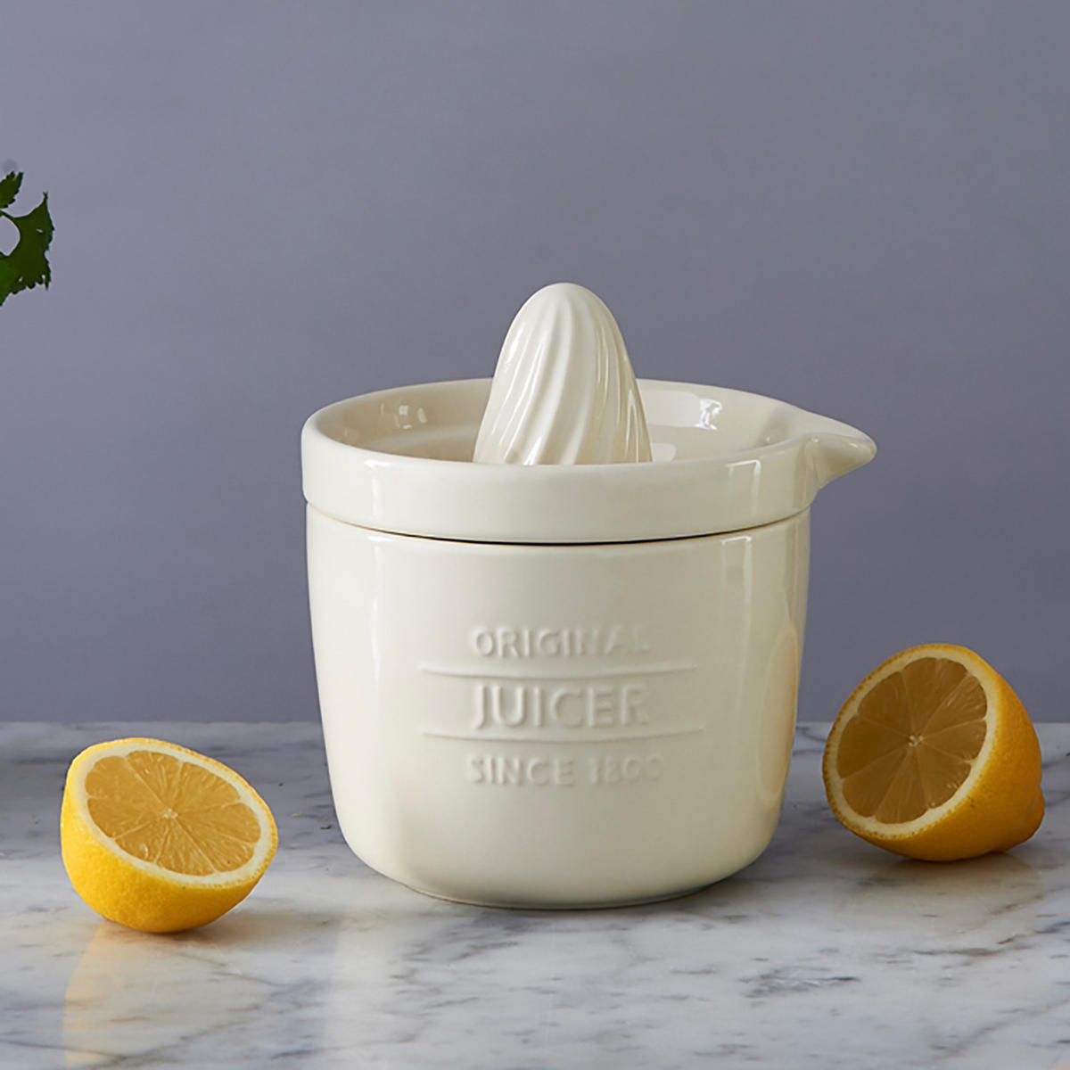 ZITRUSPRESSE/ Entsafter 3in1, 550 ml aus Steingut - Creme, Keramik (12.5cm) - Mason Cash