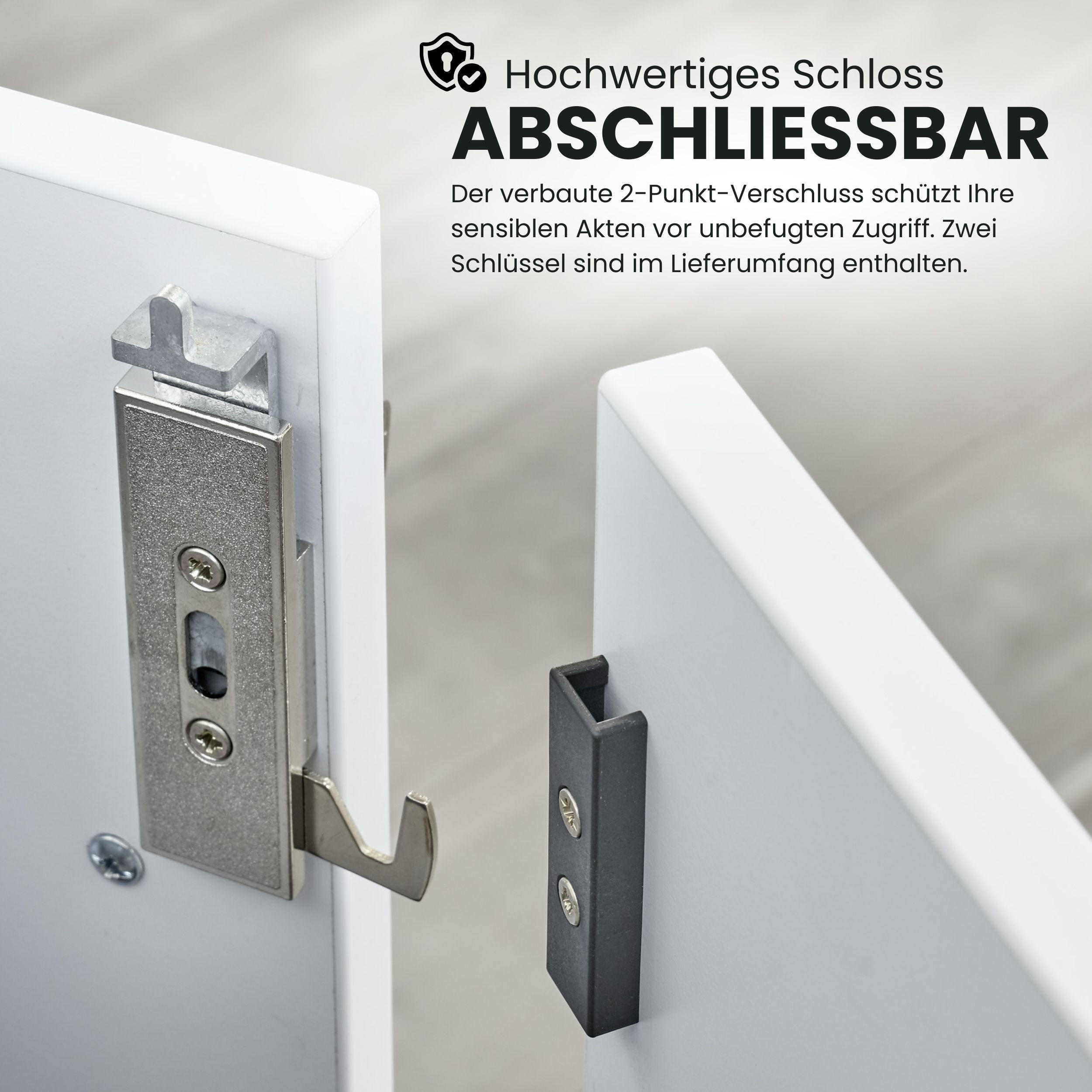 AKTENSCHRANK - 6 Ordnerhöhen 42/80/215,6 cm in Graphitfarben/Wildeiche - Wildeiche/Graphitfarben, Holzwerkstoff (80/215.6/42cm) - bümö