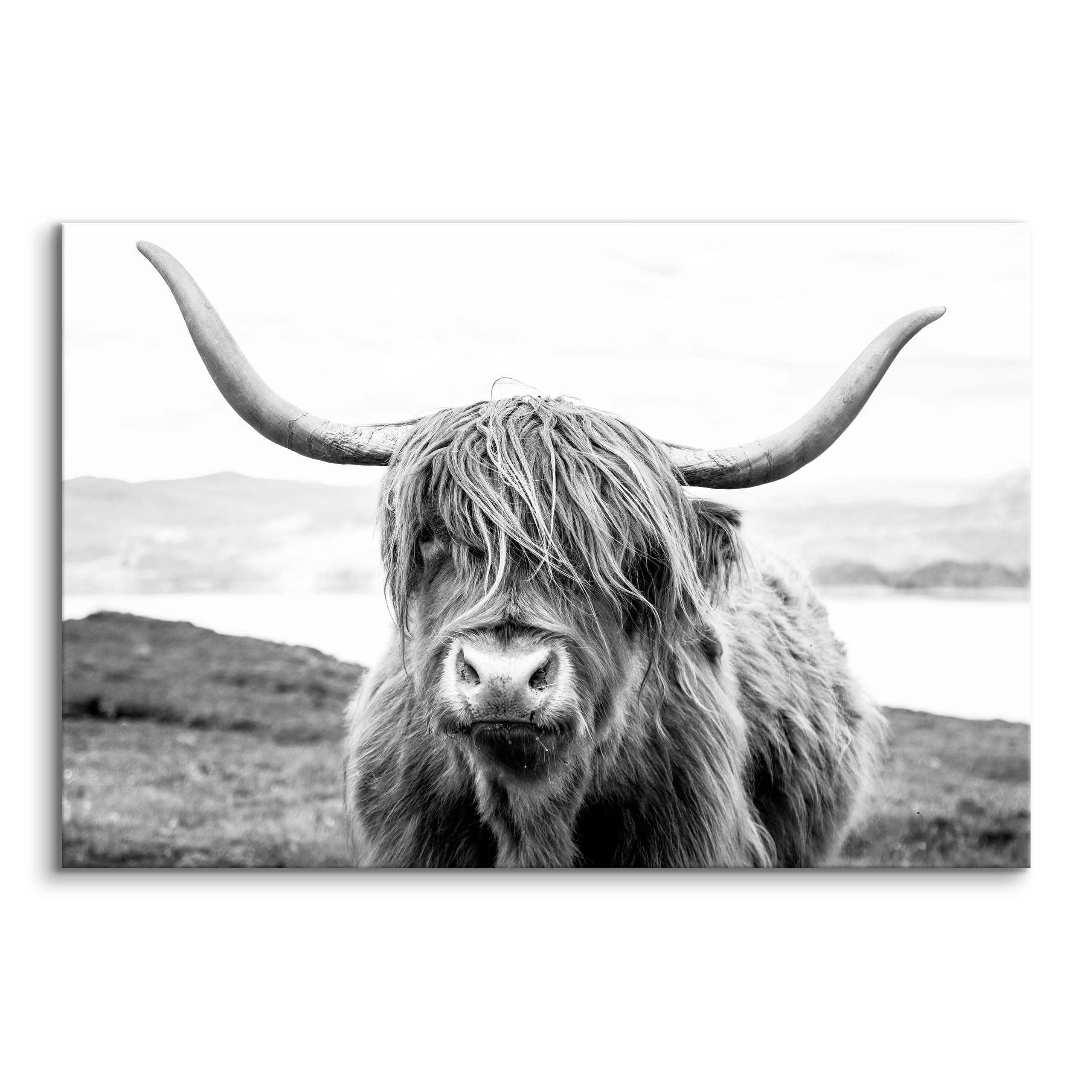 LEINWANDBILD Schottische Kuh Tier Natur Landschaft 3D 100/70 cm - Schwarz/Weiß, Textil (100/70cm) - Muralo