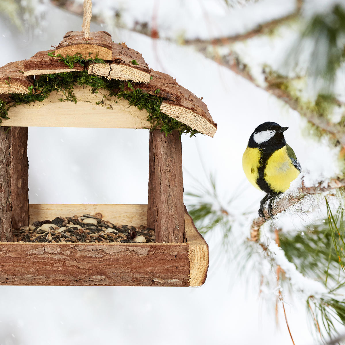 VOGELFUTTERHAUS - Braun, Naturmaterialien/Holz (21/19/32cm) - Relaxdays