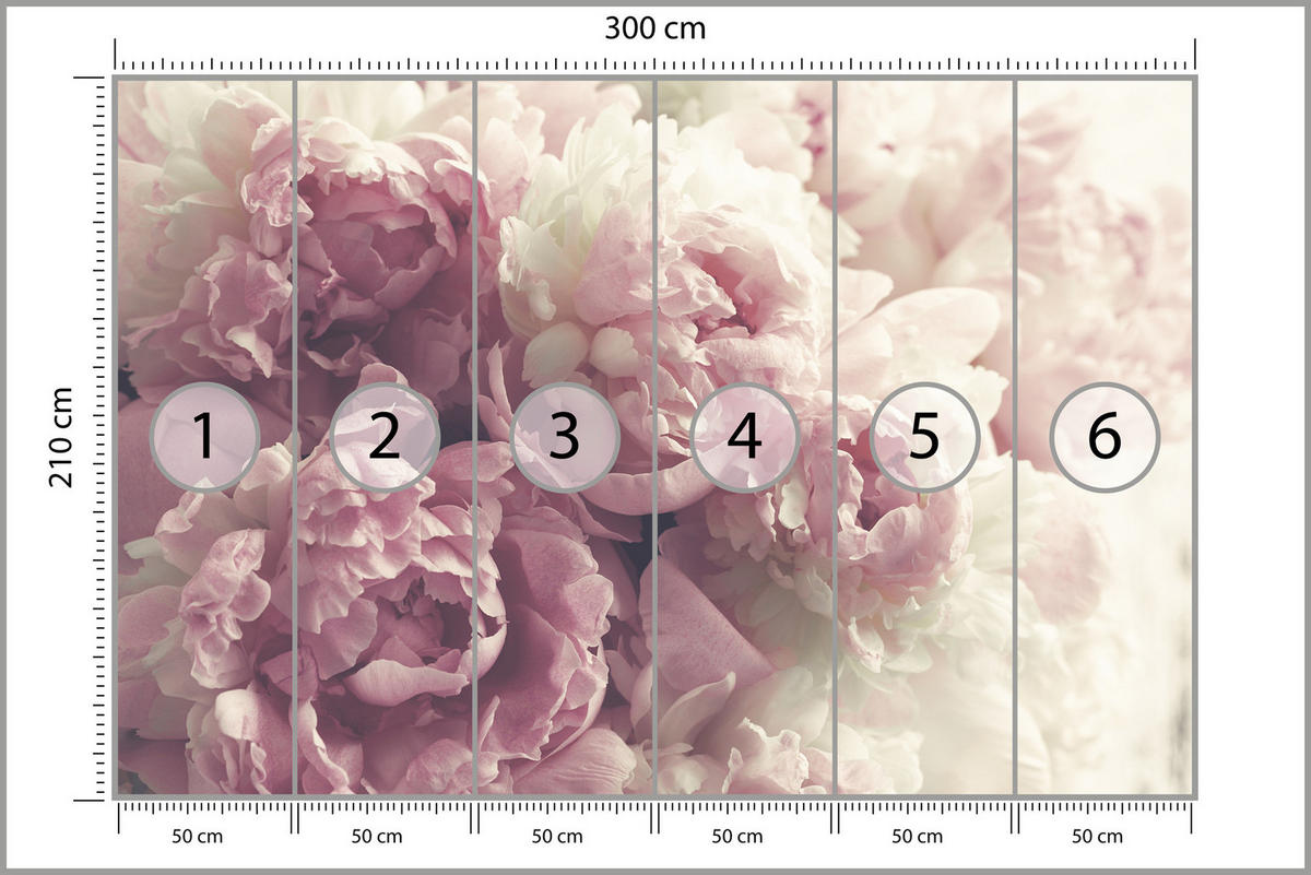 FOTOTAPETE Vintage-Pfingstrosen Blumen 3D 300x210 - Beige/Rosa, Papier (300/210cm) - Muralo