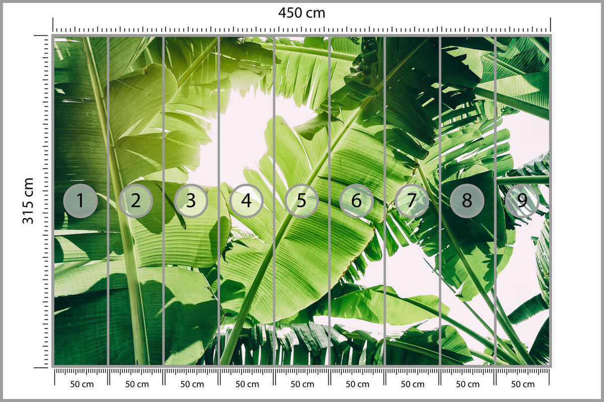 FOTOTAPETA Pre Obývaciu Izbu Banánovník Zelené Listy Tropická 450 x 315 cm - biela/zelená, papier (450/315cm) - Muralo