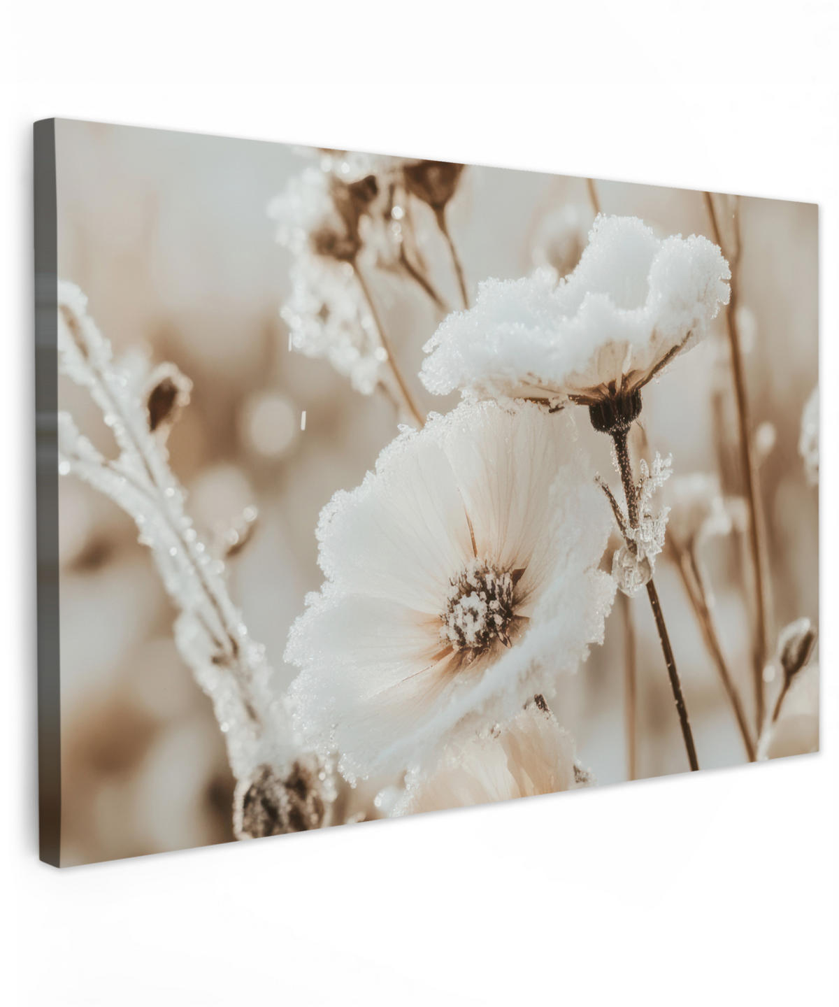 LEINWANDBILD Blumen - Winter - Weiß - Schnee - Beige Deko Schlafzimmer 30x20 cm - Creme, Textil (30/20cm) - MuchoWow