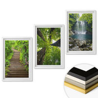 WANDBILDER 3er-Set - 40x60 cm Weißer Rahmen - Pfad Wald Wasserfall Vegetation - Weiß, Kunststoff (40/60cm) - ArtPrintCave