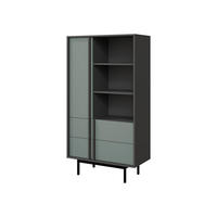 STANDREGAL Alsy 2S AL04 - Anthrazit/Grün, Holzwerkstoff/Kunststoff (83/155/43cm) - MIRJAN24