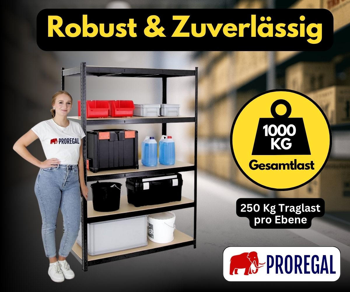 SCHWERLASTREGAL Taurus XL 180x160x60 cm Fachlast 250 kg Schwarz - Schwarz, Metall (160/180/60cm) - PROREGAL