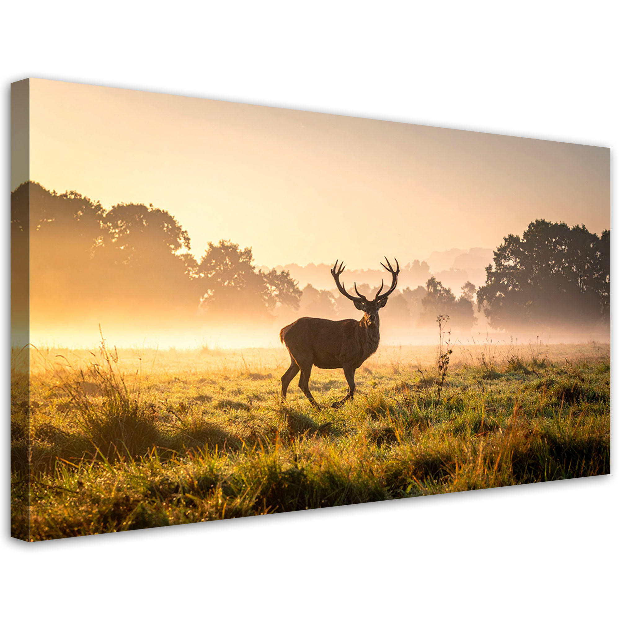 LEINWANDBILD Landschaften 100x50cm - Beige, Textil (100/50cm) - Feeby