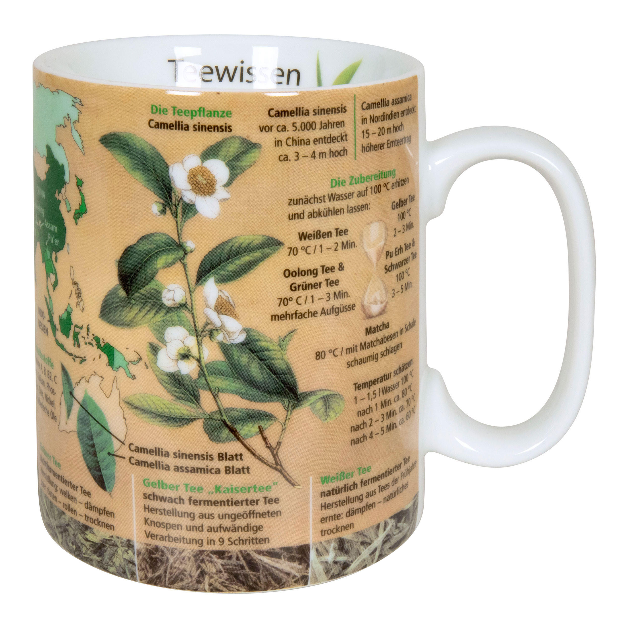Könitz Wissensbecher Natur